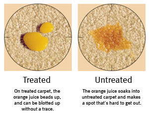 Demonstration Of How Teflon Carpet Protection Works